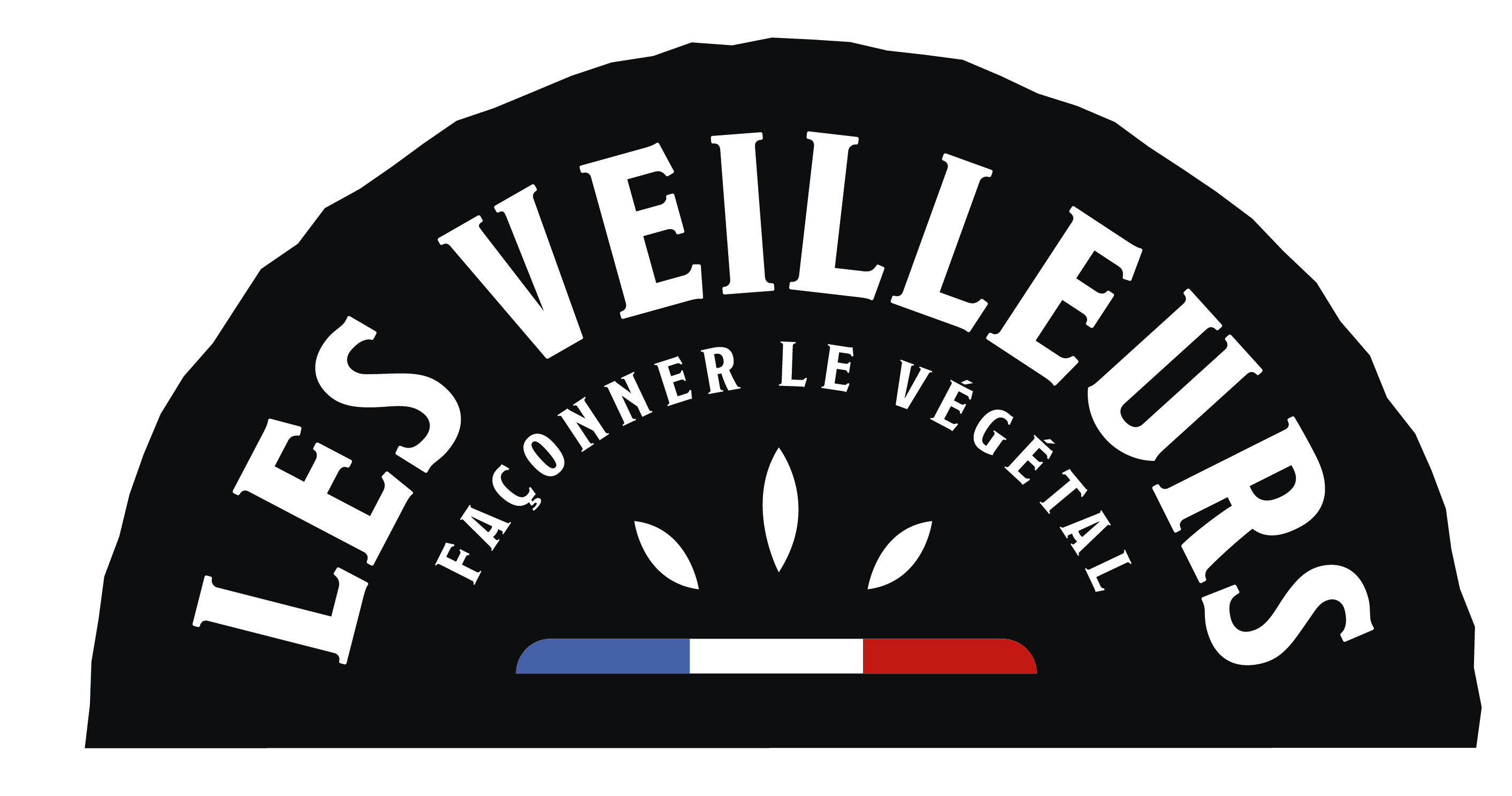 Les Veilleurs